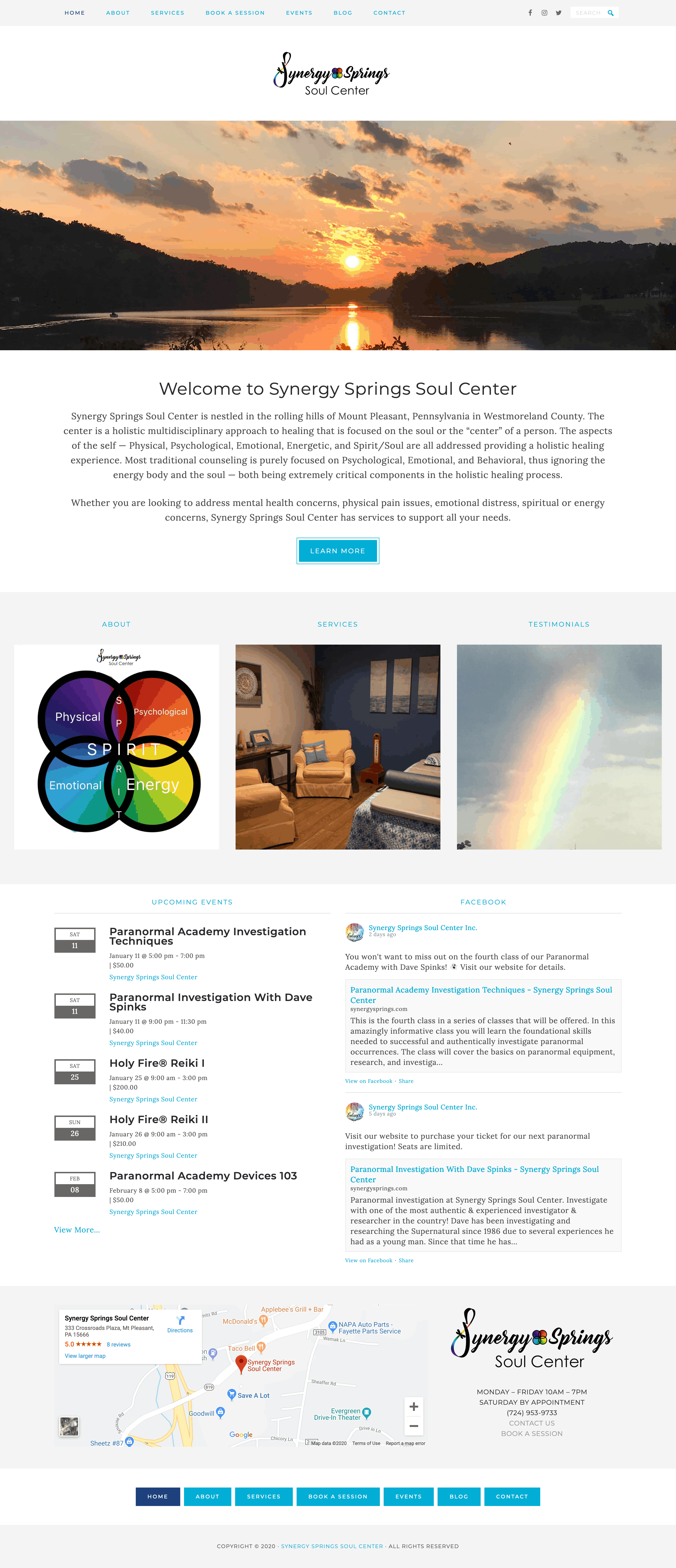 Synergy Springs home page